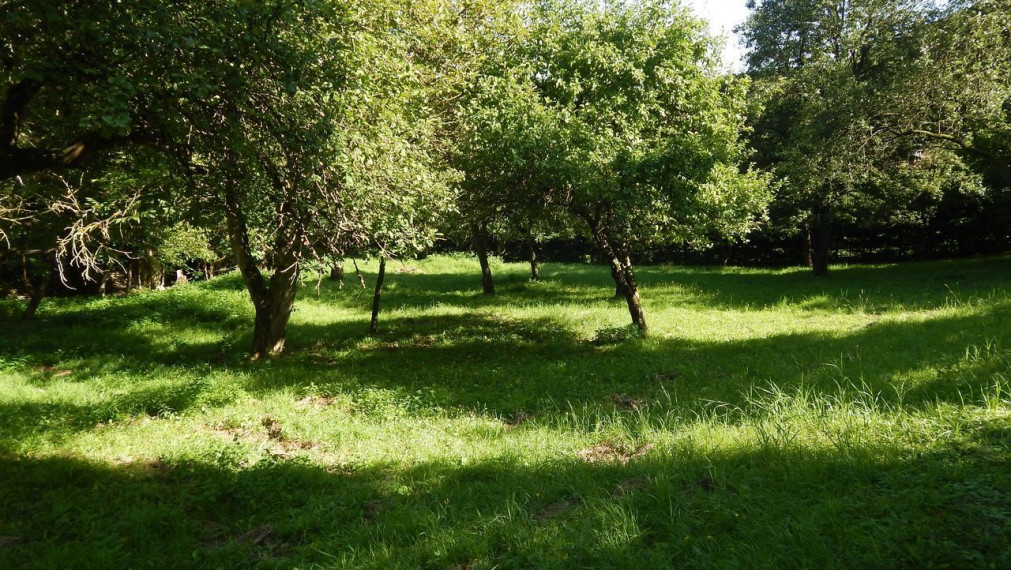 SPEKTRUM REALITY- Na predaj 3-izbový rodinný dom s pozemkom 1840 m2, Valaská Bela, okres Prievidza