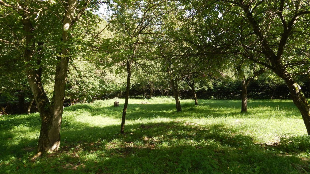 SPEKTRUM REALITY- Na predaj 3-izbový rodinný dom s pozemkom 1840 m2, Valaská Bela, okres Prievidza