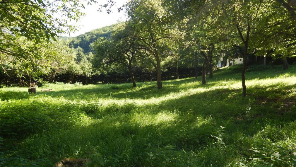 SPEKTRUM REALITY- Na predaj 3-izbový rodinný dom s pozemkom 1840 m2, Valaská Bela, okres Prievidza