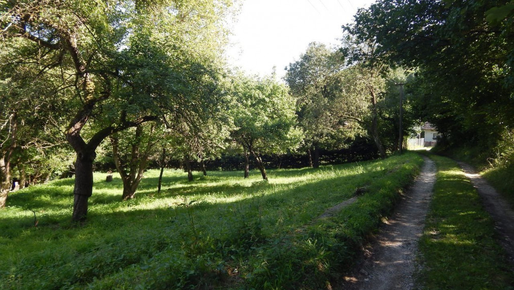 SPEKTRUM REALITY- Na predaj 3-izbový rodinný dom s pozemkom 1840 m2, Valaská Bela, okres Prievidza