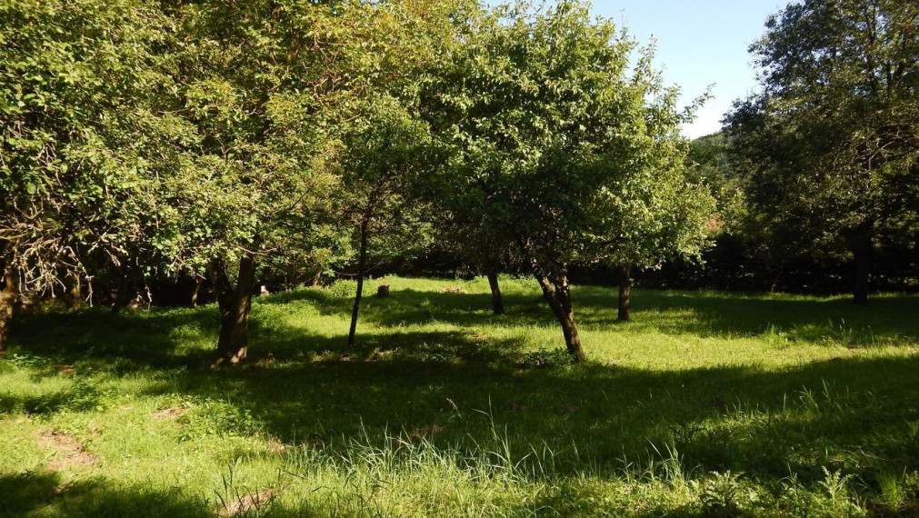 SPEKTRUM REALITY- Na predaj 3-izbový rodinný dom s pozemkom 1840 m2, Valaská Bela, okres Prievidza