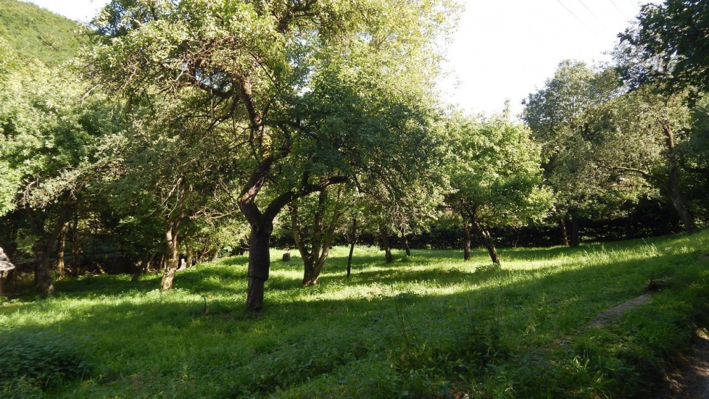 SPEKTRUM REALITY- Na predaj 3-izbový rodinný dom s pozemkom 1840 m2, Valaská Bela, okres Prievidza