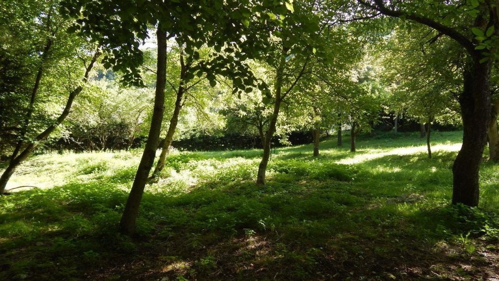 SPEKTRUM REALITY- Na predaj 3-izbový rodinný dom s pozemkom 1840 m2, Valaská Bela, okres Prievidza