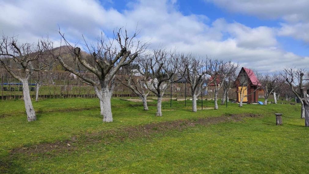 SPEKTRUM REALITY- Na Predaj dve záhradné chatky s pozemkom 1618 m2, záhradkárska osada ,, Mlynárka " Handlová, okres Prievidza