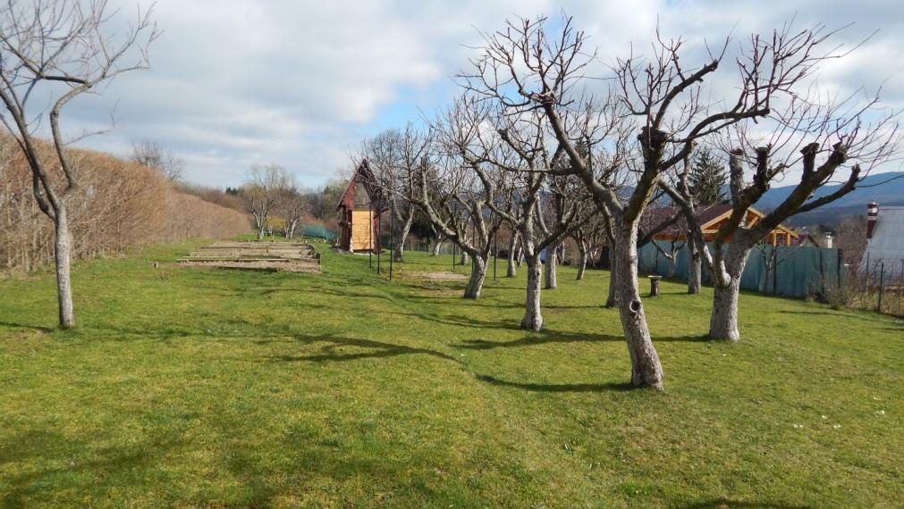 SPEKTRUM REALITY- Na Predaj dve záhradné chatky s pozemkom 1618 m2, záhradkárska osada ,, Mlynárka " Handlová, okres Prievidza