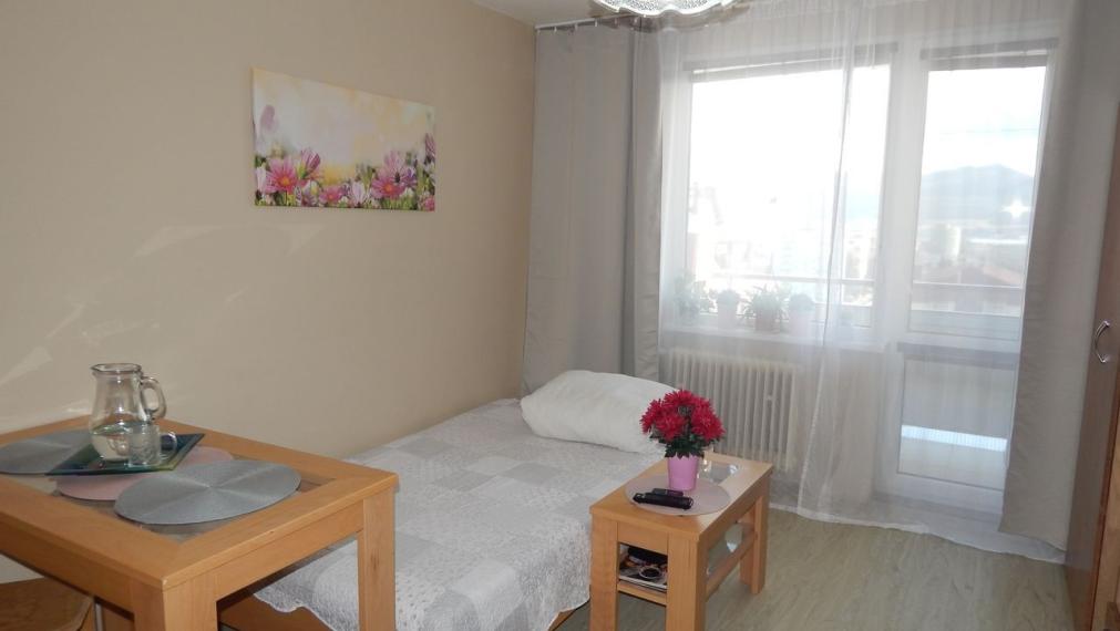 SPEKTRUM REALITY- Na Predaj garsónka, 23 m2 s loggiou , okres Žiar Nad Hronom, Etapa