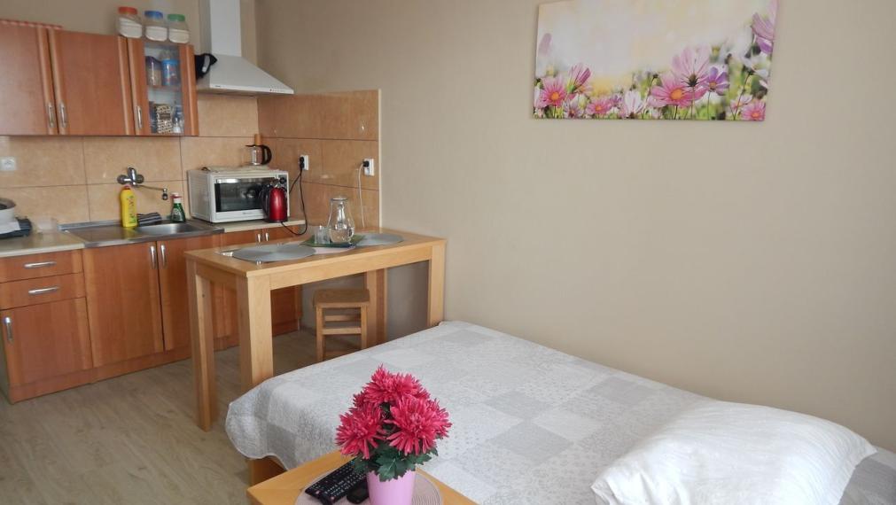 SPEKTRUM REALITY- Na Predaj garsónka, 23 m2 s loggiou , okres Žiar Nad Hronom, Etapa