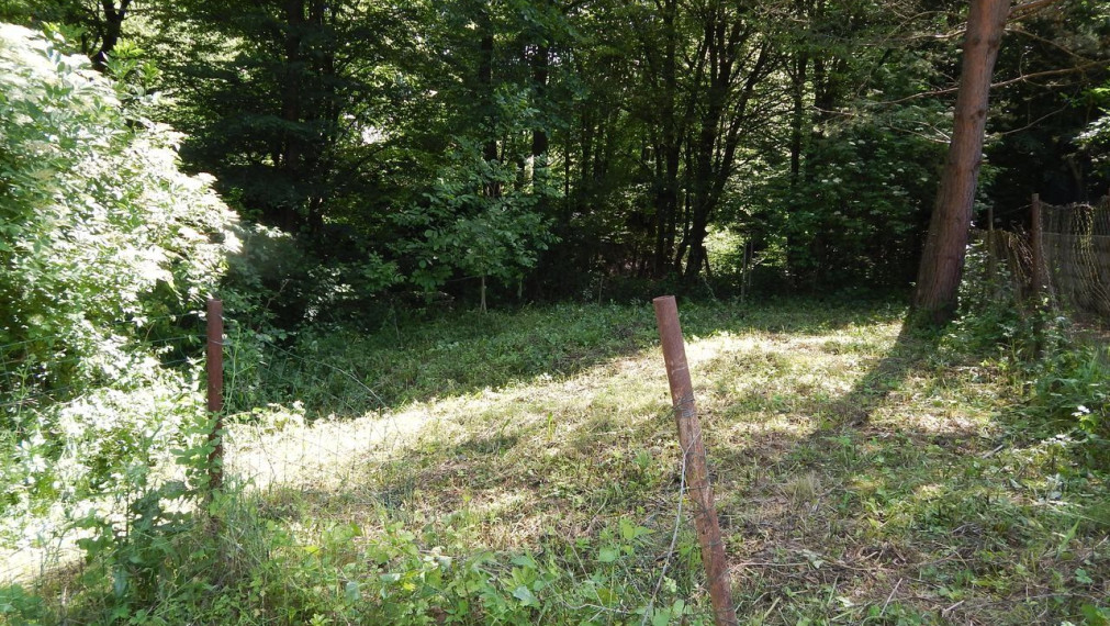 SPEKTRUM REALITY- Na predaj záhrada 348 m2, Handlová, okres Prievidza