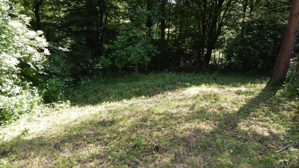 SPEKTRUM REALITY- Na predaj záhrada 348 m2, Handlová, okres Prievidza