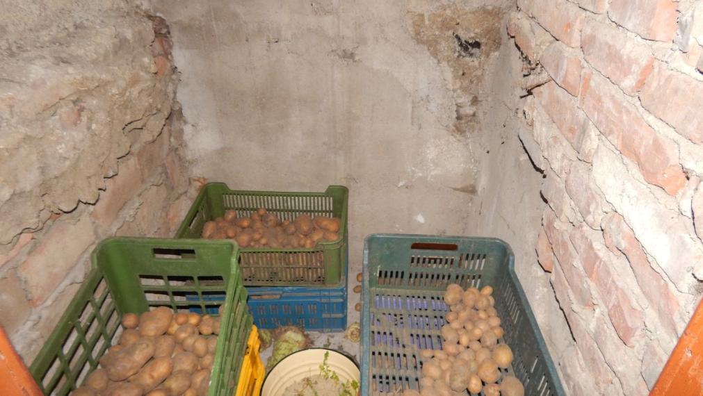 SPEKTRUM REALITY- NA PREDAJ 5-IZBOVÝ DVOJPODLAŽNÝ RODINNÝ DOM S TERASOU A GARÁŽOU, HANDLOVÁ