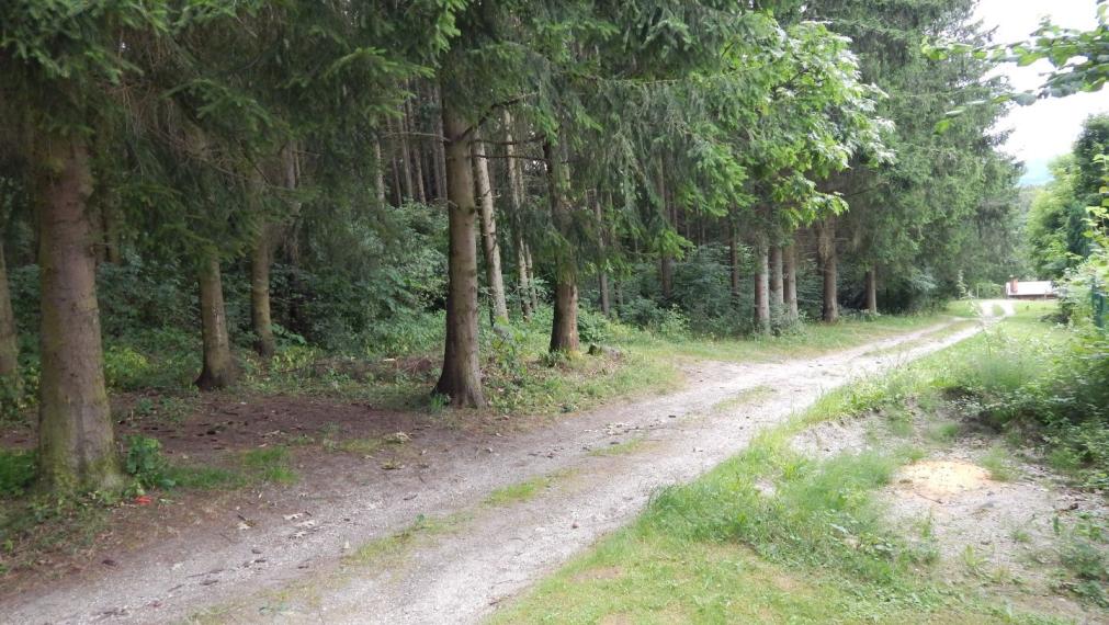 SPEKTRUM REALITY- Na Predaj záhradná chata s pozemkom 464 m2,, záhradkárska osada SNP pri Gewise " Handlová