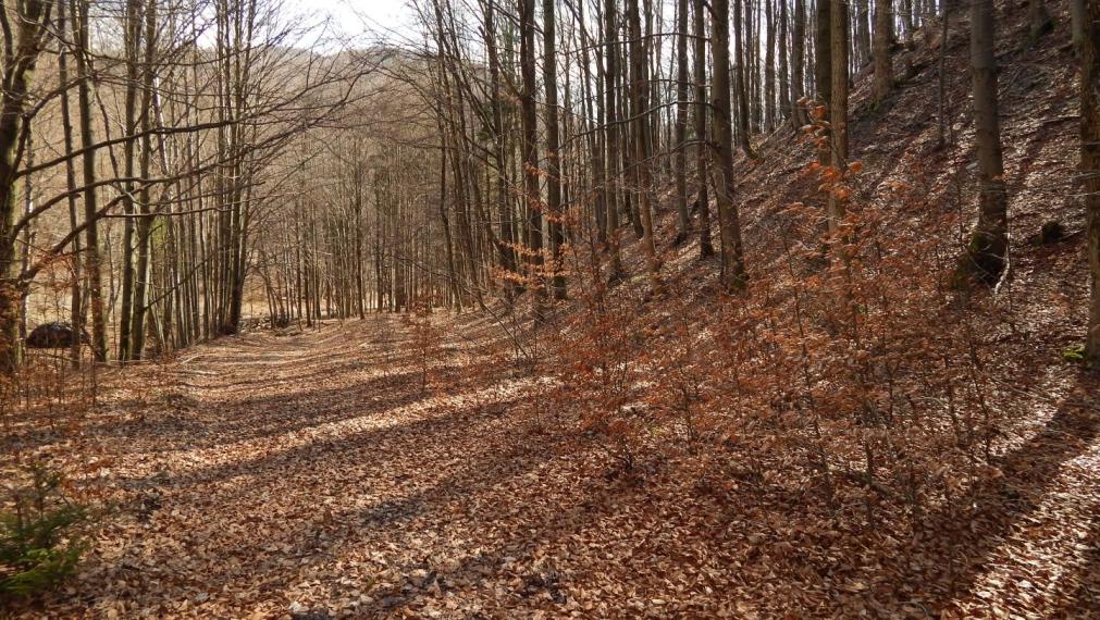 EXKLUZÍVNE-SPEKTRUM REALITY- Na Predaj Rekreačná chata v obci Kľačno, okres Prievidza