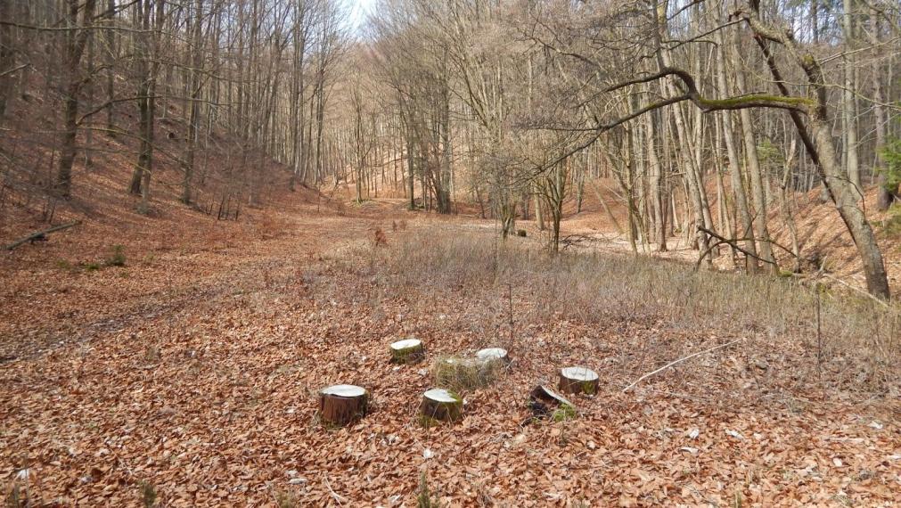 EXKLUZÍVNE-SPEKTRUM REALITY- Na Predaj Rekreačná chata v obci Kľačno, okres Prievidza