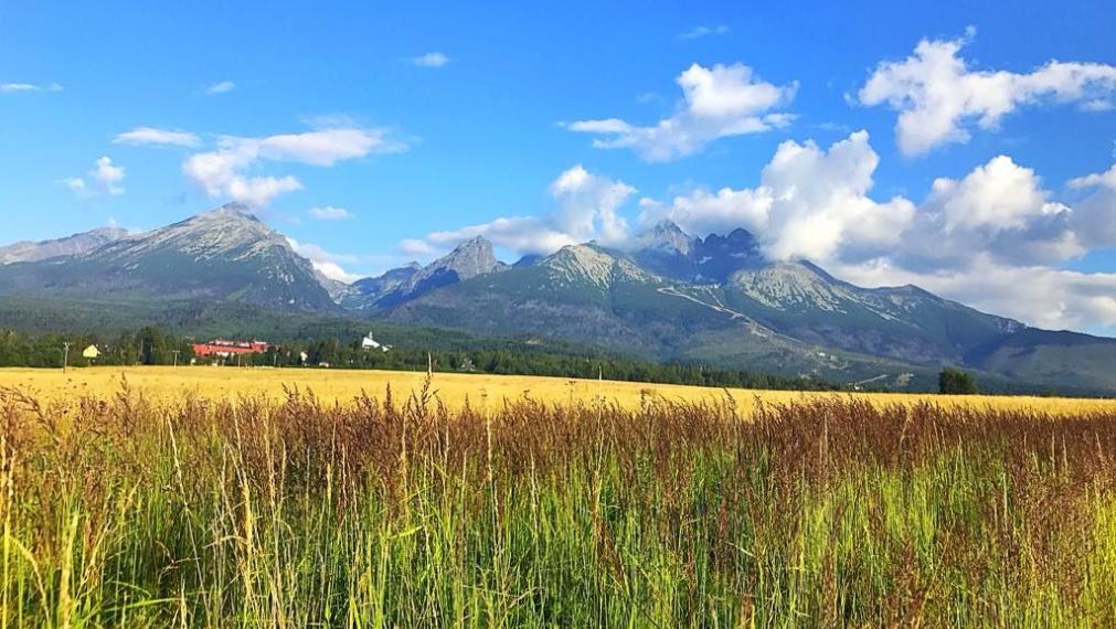 Na predaj novostavby chaty Stará Lesná ( Vysoké Tatry )-Výstavba Tatranský dvor III
