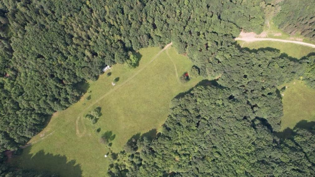 Exkluzívna ponuka Pozemkov (lesy, pasienky, lúky) v k.ú. Šípkov, okr. Bánovce n/B