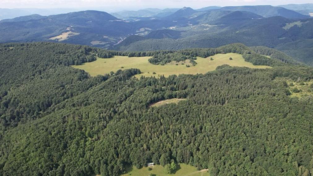 Exkluzívna ponuka Pozemkov (lesy, pasienky, lúky) v k.ú. Šípkov, okr. Bánovce n/B