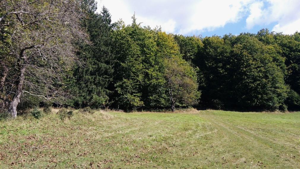 Exkluzívna ponuka Pozemkov (lesy, pasienky, lúky) v k.ú. Šípkov, okr. Bánovce n/B