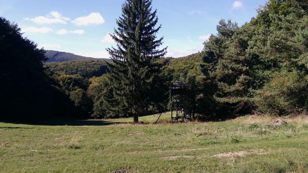 Exkluzívna ponuka Pozemkov (lesy, pasienky, lúky) v k.ú. Šípkov, okr. Bánovce n/B