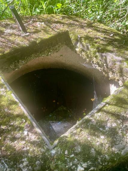 Exkluzívna ponuka Pozemkov (lesy, pasienky, lúky) v k.ú. Šípkov, okr. Bánovce n/B