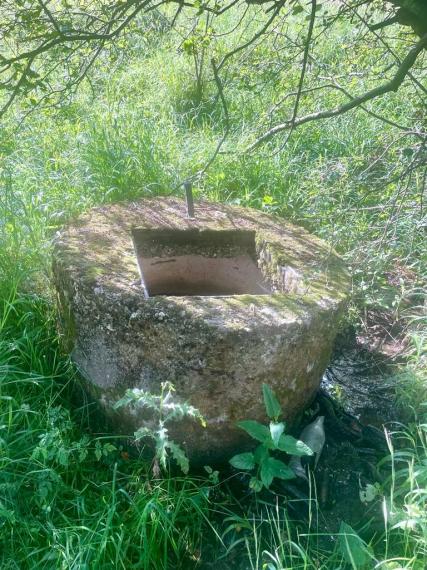 Exkluzívna ponuka Pozemkov (lesy, pasienky, lúky) v k.ú. Šípkov, okr. Bánovce n/B