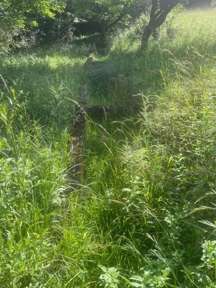 Exkluzívna ponuka Pozemkov (lesy, pasienky, lúky) v k.ú. Šípkov, okr. Bánovce n/B