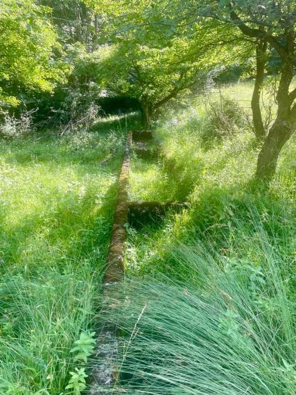 Exkluzívna ponuka Pozemkov (lesy, pasienky, lúky) v k.ú. Šípkov, okr. Bánovce n/B