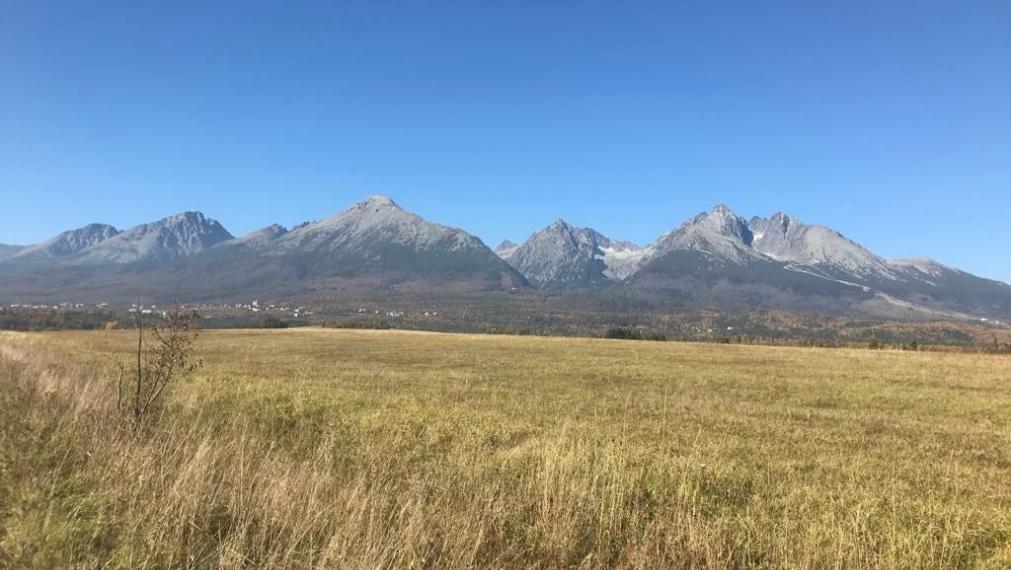 Na predaj pozemok v jedinečnej lokalite Vysokých Tatier- Nová Lesná , 70 000 m2