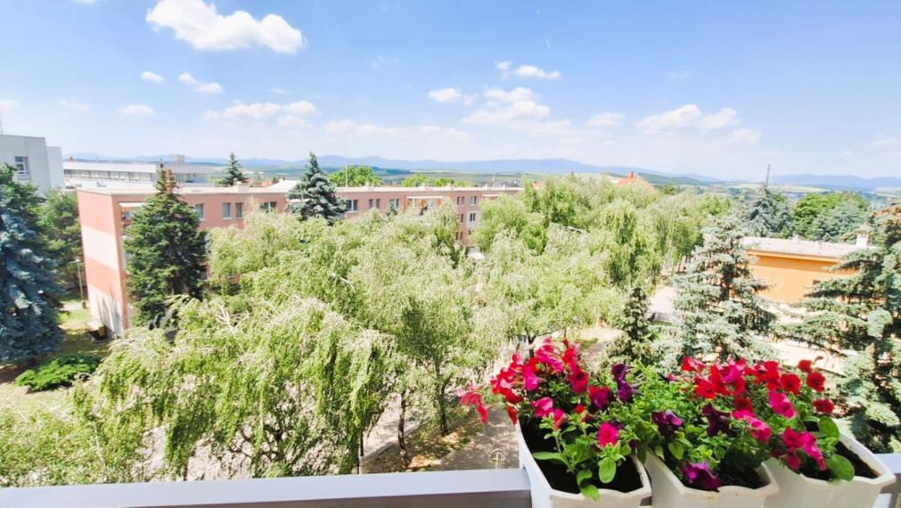 Rezervované...Exkluzívne na predaj 1i byt v centre mesta Bánovce n/B