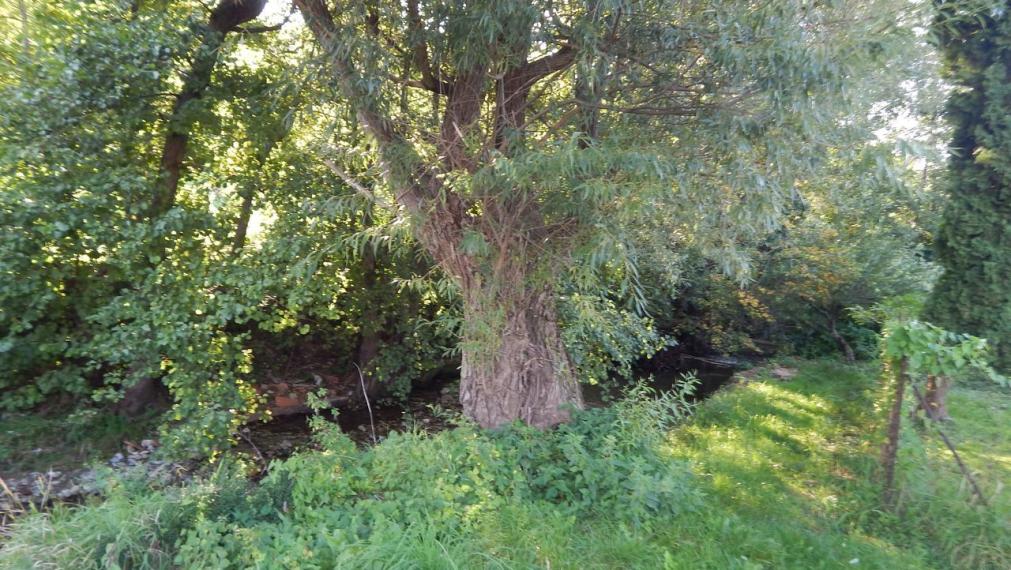 SPEKTRUM REALITY- TUŽINA-Na  Predaj  chata s terasou a garážou - 301 m2, Tužina, okres Prievidza