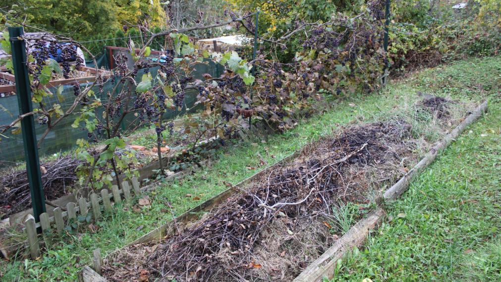 SPEKTRUM REALITY- Na Predaj záhrada 312 m2,, záhradkárska osada 600-ročnica" Prievidza