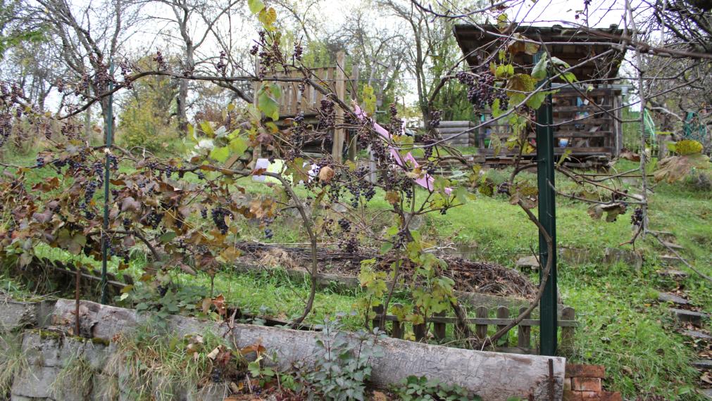 SPEKTRUM REALITY- Na Predaj záhrada 312 m2,, záhradkárska osada 600-ročnica" Prievidza