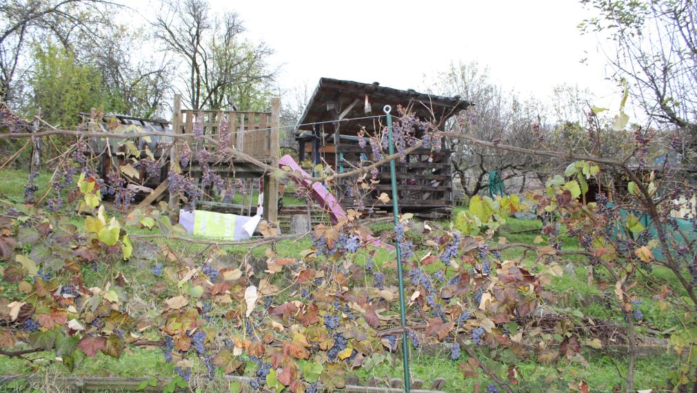 SPEKTRUM REALITY- Na Predaj záhrada 312 m2,, záhradkárska osada 600-ročnica" Prievidza