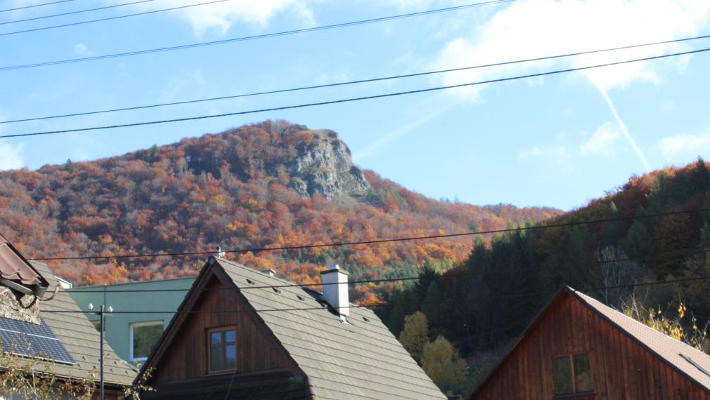 SPEKTRUM REALITY - Na Predaj  rodinný dom/ chalupa s pozemkom 819.38 m2 , Temeš, okres Prievidza