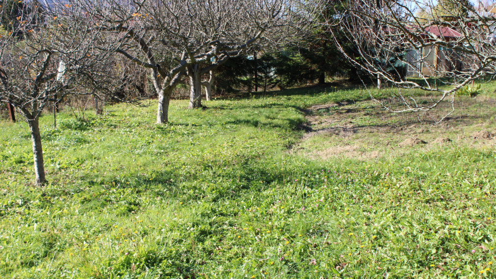 PREDANÉ-SPEKTRUM REALITY- Na Predaj  záhradná chatka s pozemkom 902 m2 ,, záhradkárska osada nad kúpaliskom" Handlová