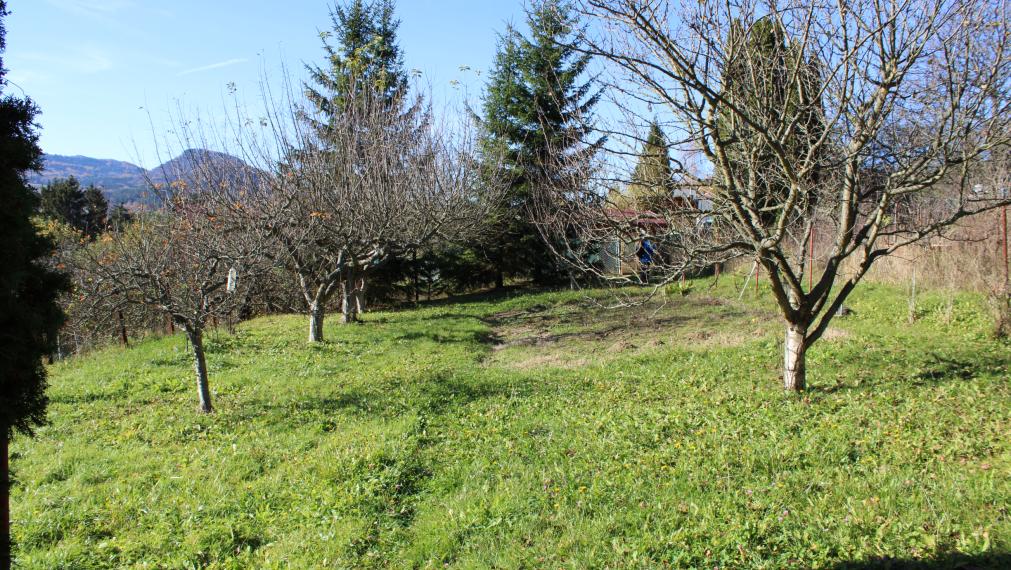 PREDANÉ-SPEKTRUM REALITY- Na Predaj  záhradná chatka s pozemkom 902 m2 ,, záhradkárska osada nad kúpaliskom" Handlová