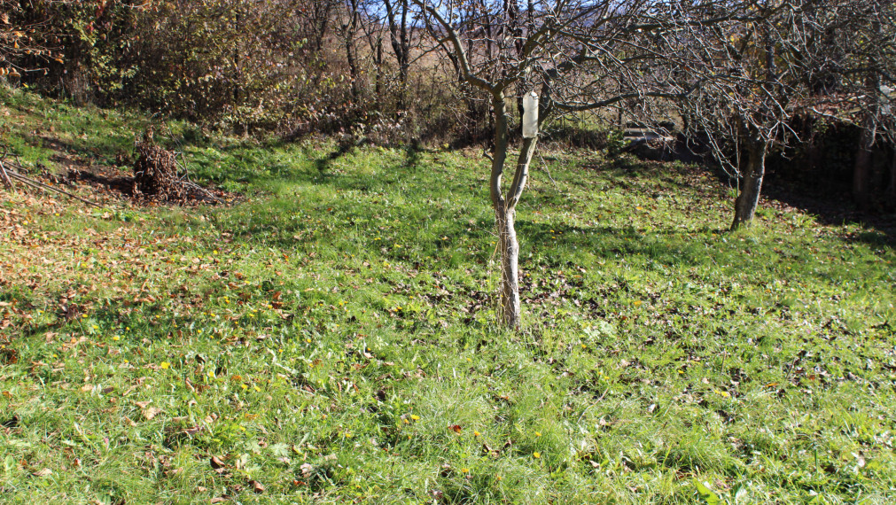 PREDANÉ-SPEKTRUM REALITY- Na Predaj  záhradná chatka s pozemkom 902 m2 ,, záhradkárska osada nad kúpaliskom" Handlová