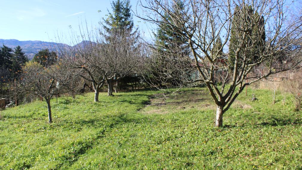 PREDANÉ-SPEKTRUM REALITY- Na Predaj  záhradná chatka s pozemkom 902 m2 ,, záhradkárska osada nad kúpaliskom" Handlová