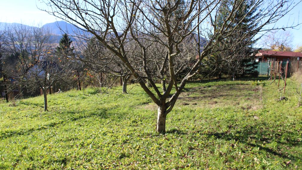 PREDANÉ-SPEKTRUM REALITY- Na Predaj  záhradná chatka s pozemkom 902 m2 ,, záhradkárska osada nad kúpaliskom" Handlová