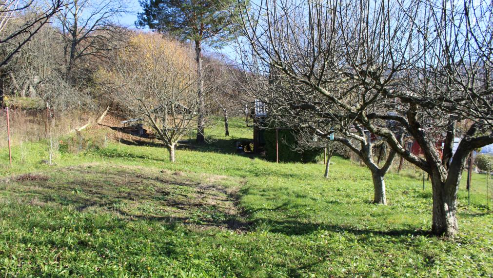 PREDANÉ-SPEKTRUM REALITY- Na Predaj  záhradná chatka s pozemkom 902 m2 ,, záhradkárska osada nad kúpaliskom" Handlová