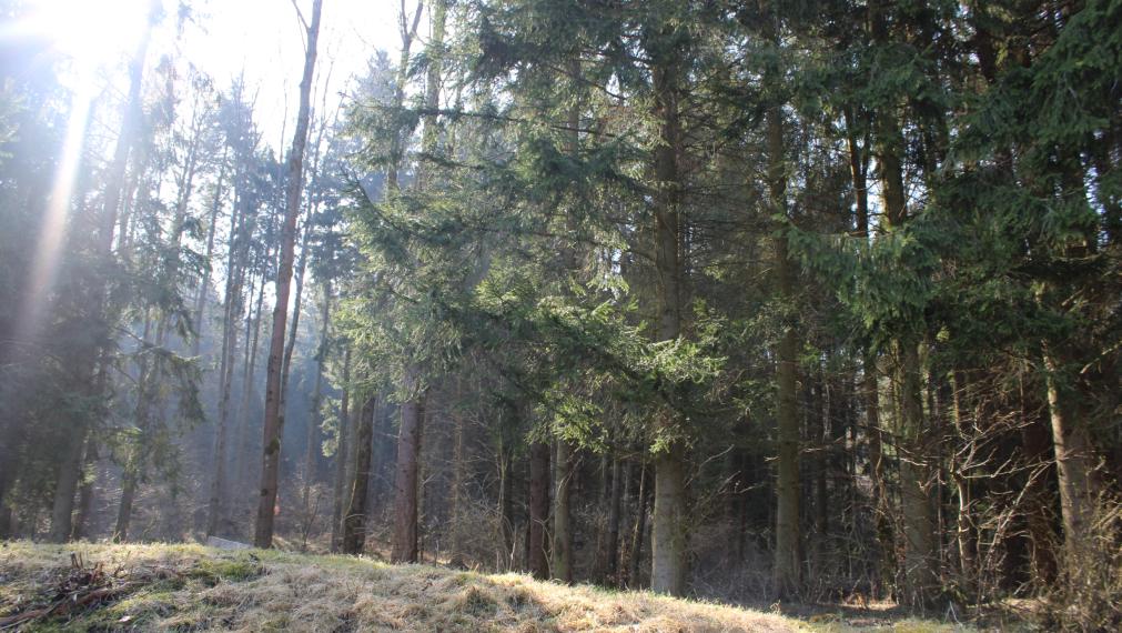 EXKLUZÍVNE- SPEKTRUM REALITY- Na Predaj záhradná chatka s pozemkom 385 m2,, záhradkárska osada SNP " Handlová