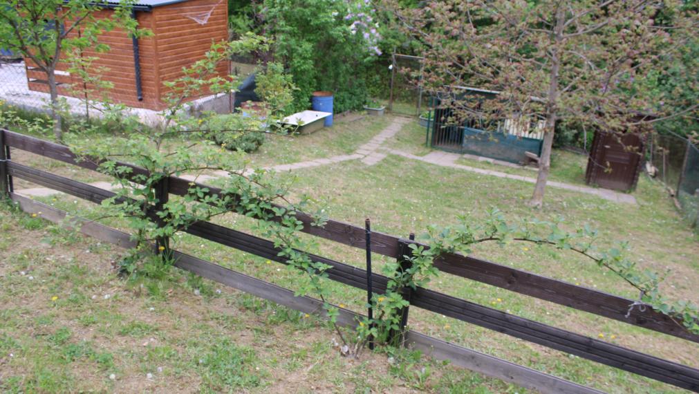 EXKLUZÍVNE- SPEKTRUM REALITY- Na Predaj záhradná chatka s pozemkom 398 m2,, záhradkárska osada Mier " Handlová