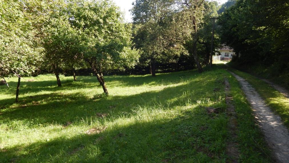 SPEKTRUM REALITY- Na predaj 3-izbový rodinný dom / chalupa s pozemkom 1840 m2, Valaská Bela, okres Prievidza