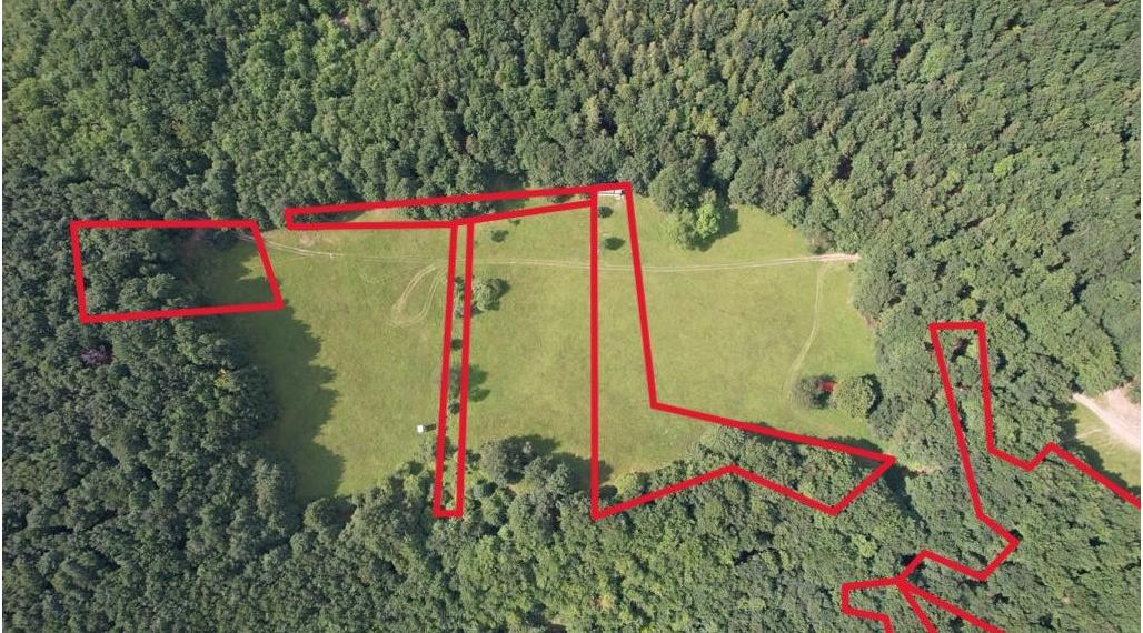Exkluzívna ponuka Pozemkov (lesy, pasienky, lúky) v k.ú. Šípkov, okr. Bánovce n/B