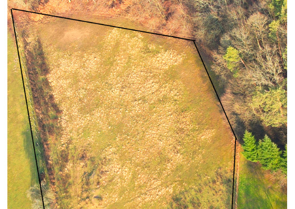 Lukratívna ponuka pozemku v obci Brezolupy 8040m2